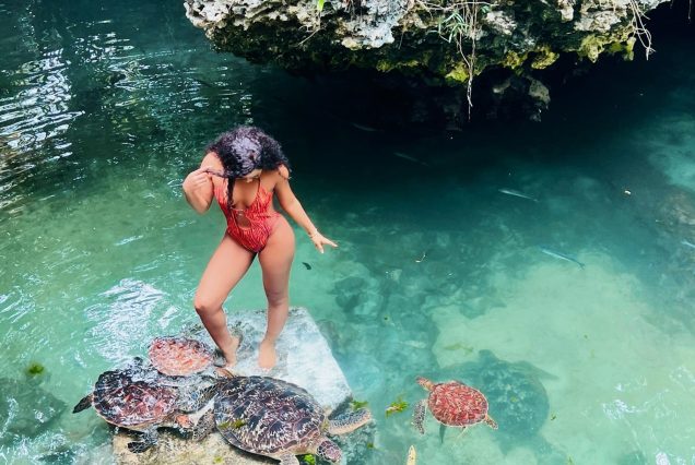 nungwi baraka aqurium